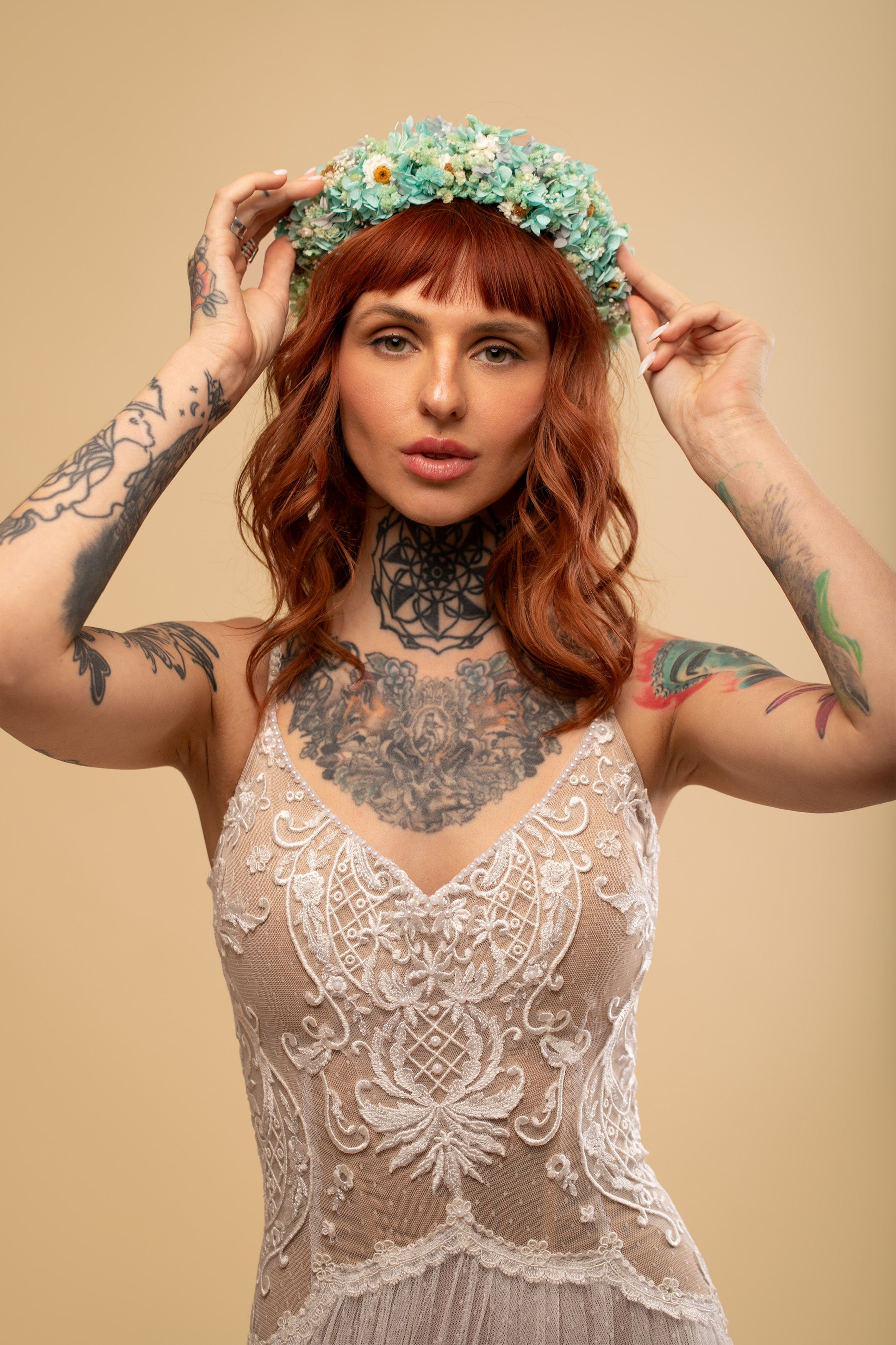 Gentle Crown - Shufizoo