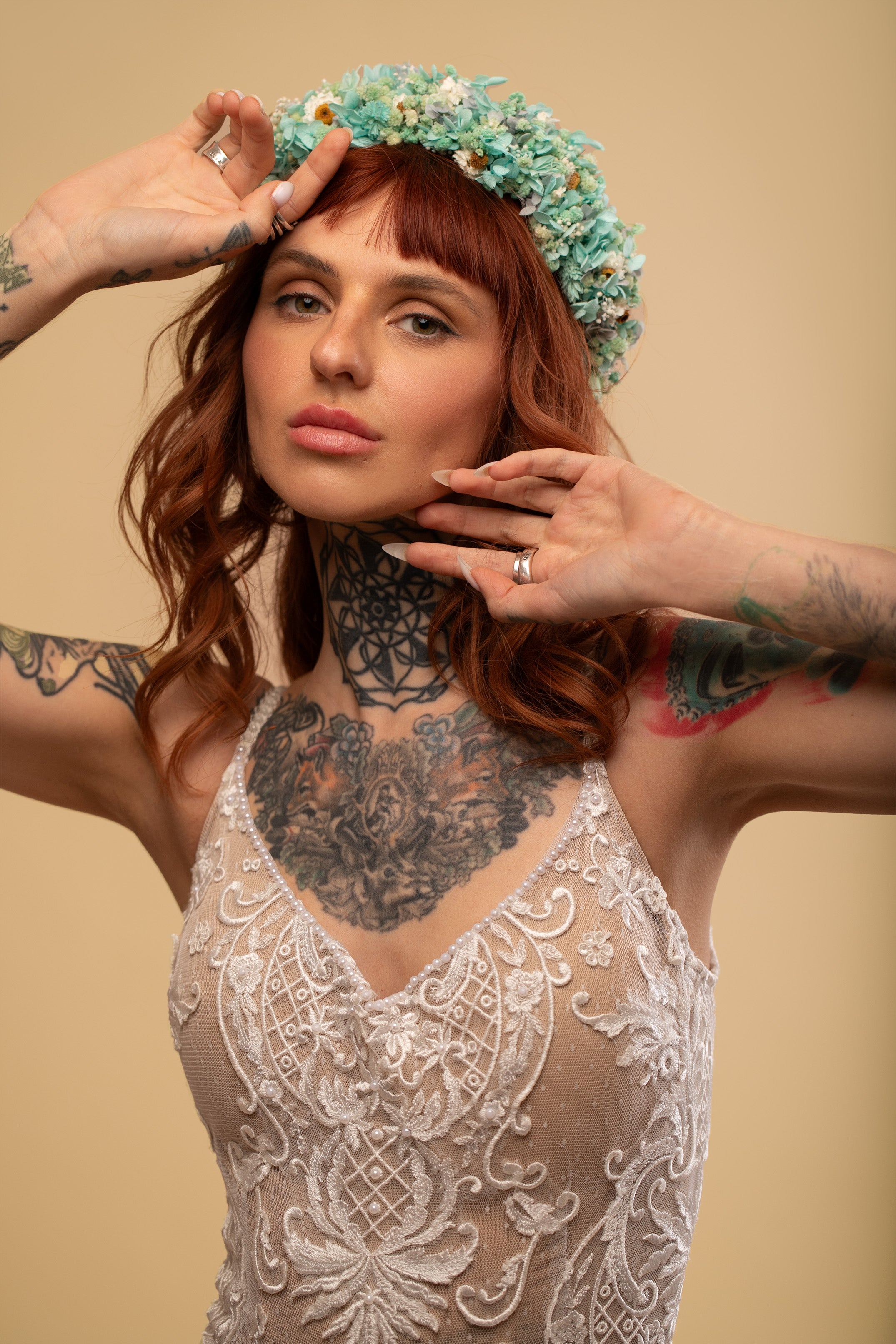 Gentle Crown - Shufizoo