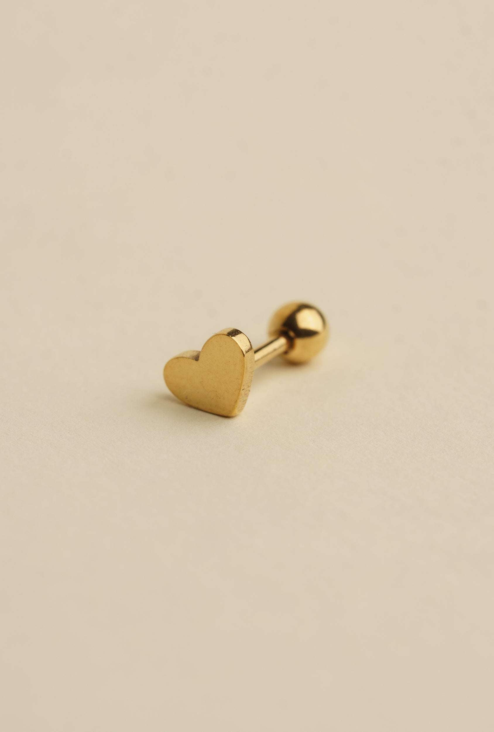 Braid Earring