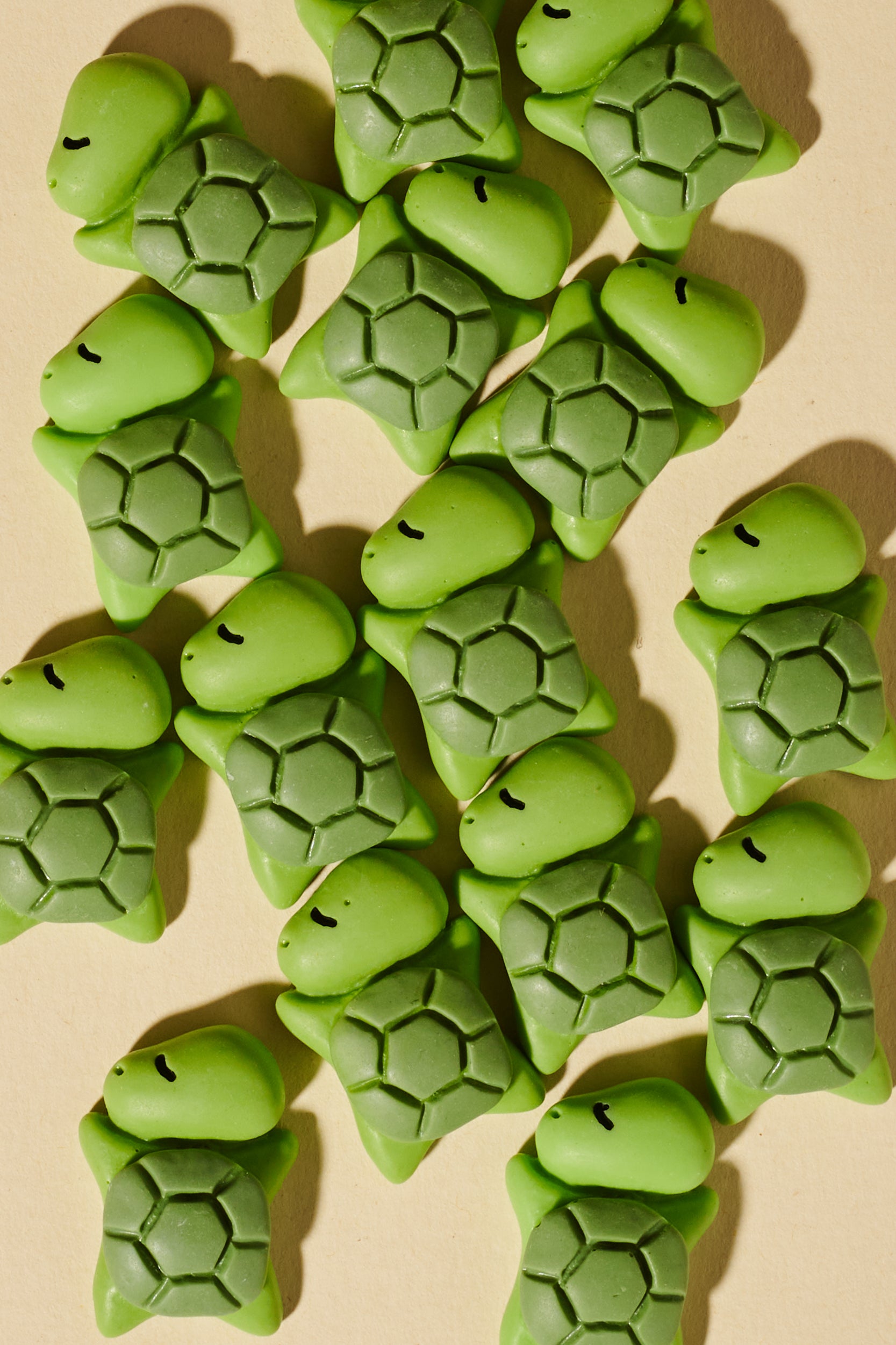 Magic Braids Charms - Shufizoo - Turtle