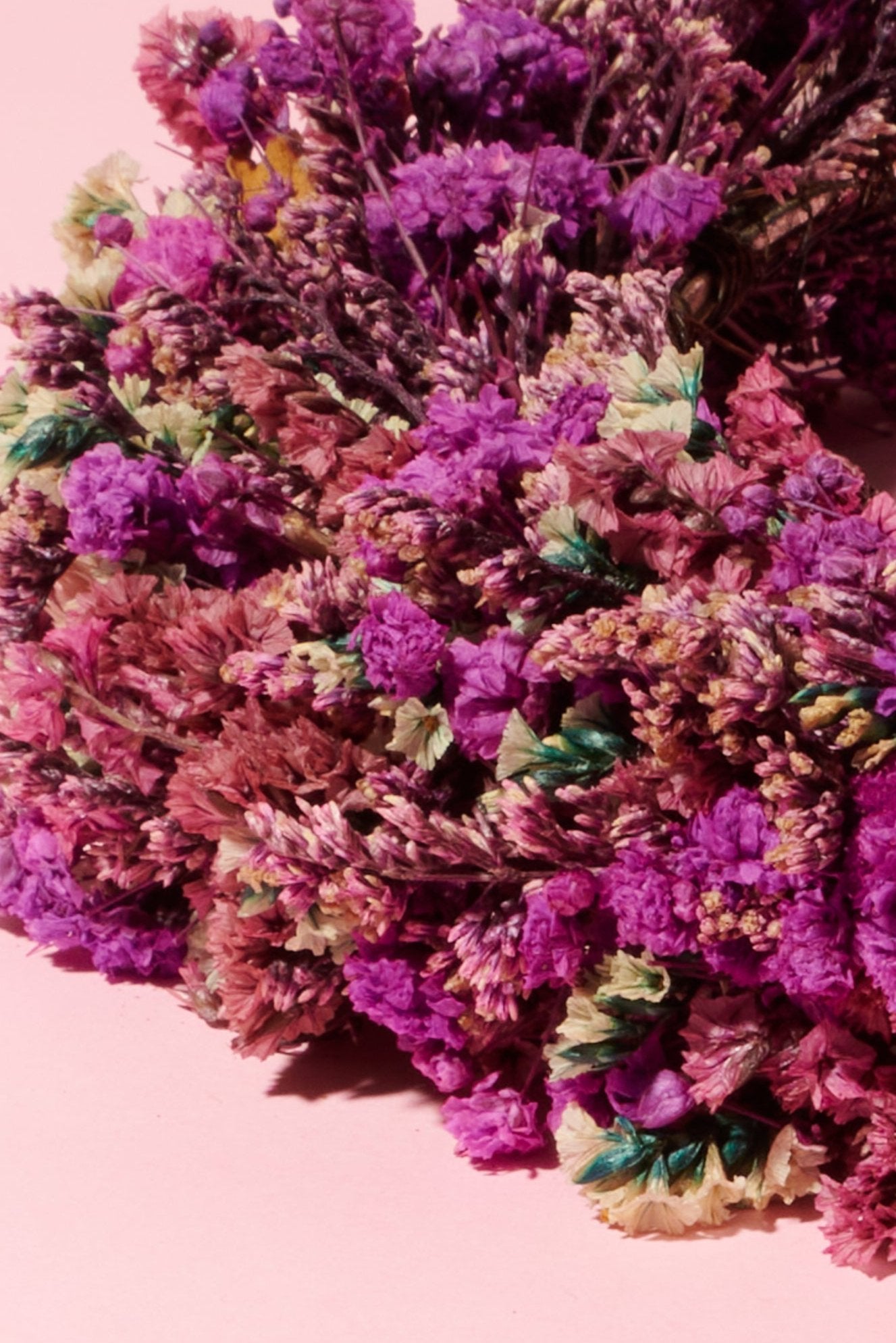 Sassy Crown - Shufizoo