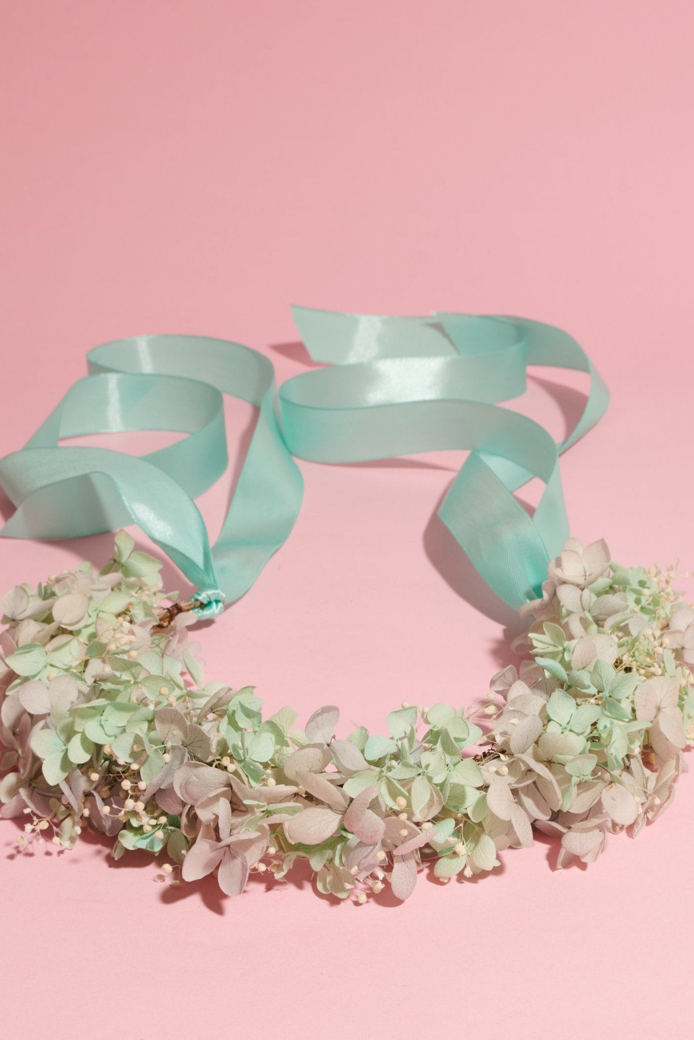 Gentle Crown - Shufizoo