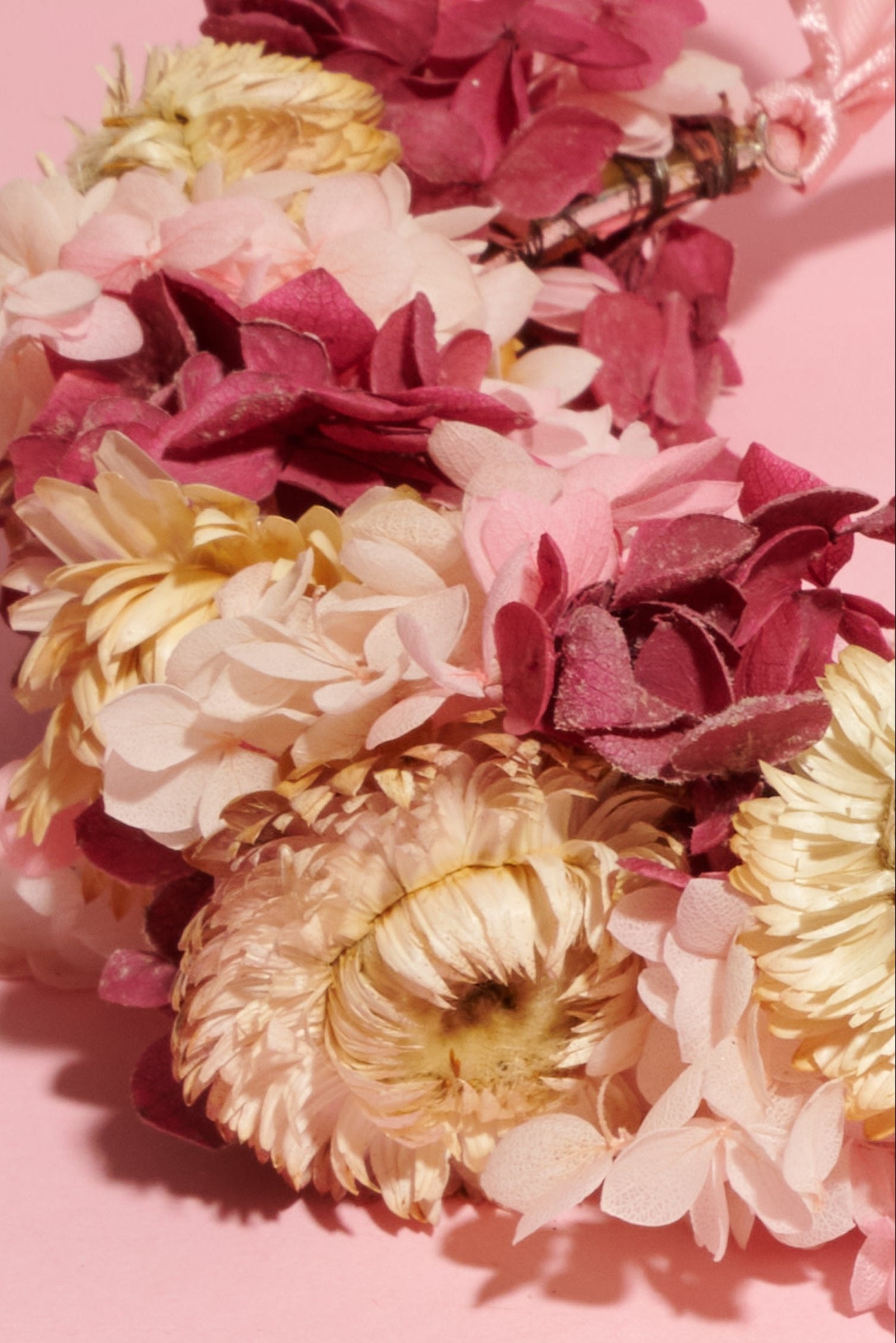 Spring Crown - Shufizoo