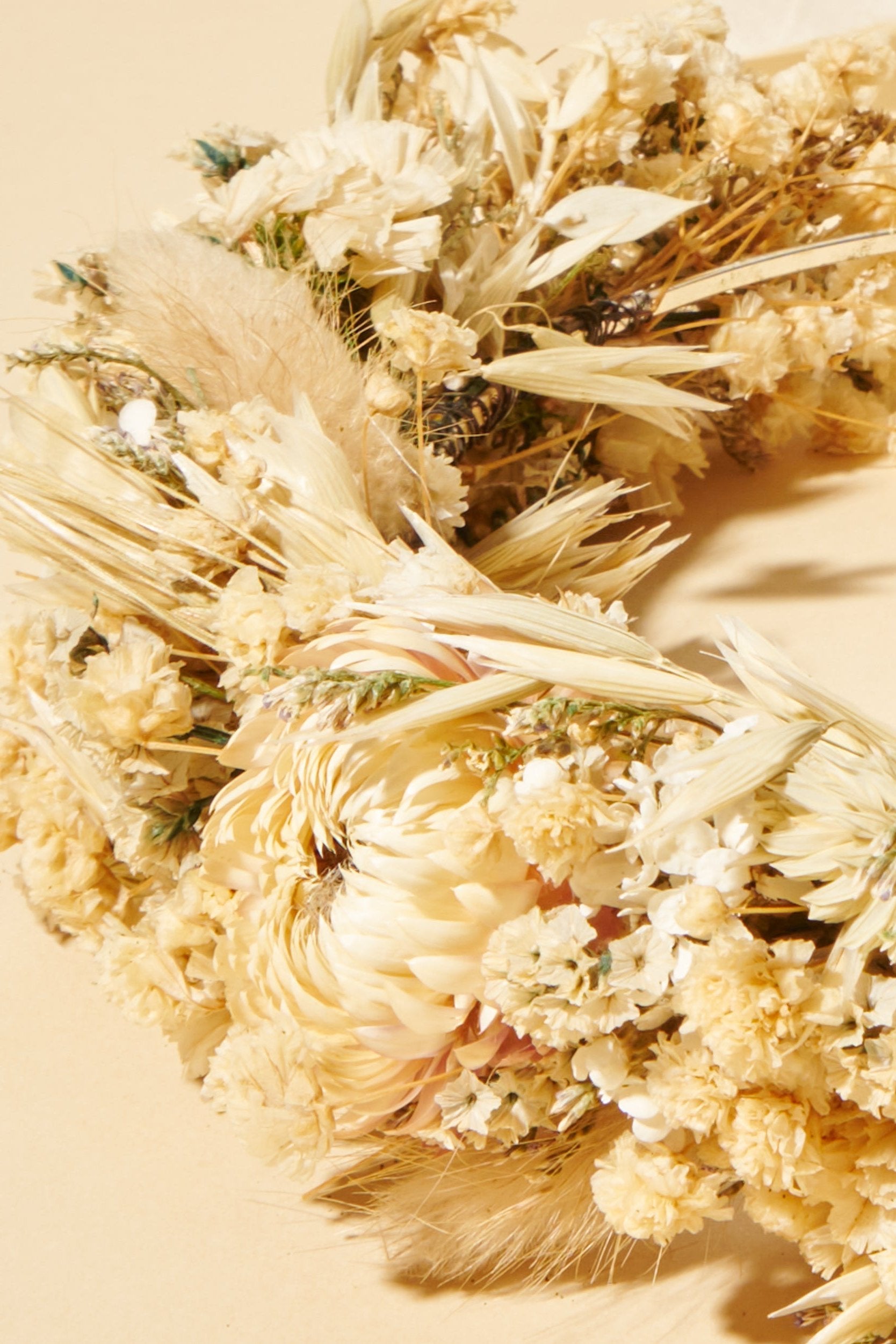 Sentiment Crown - Shufizoo