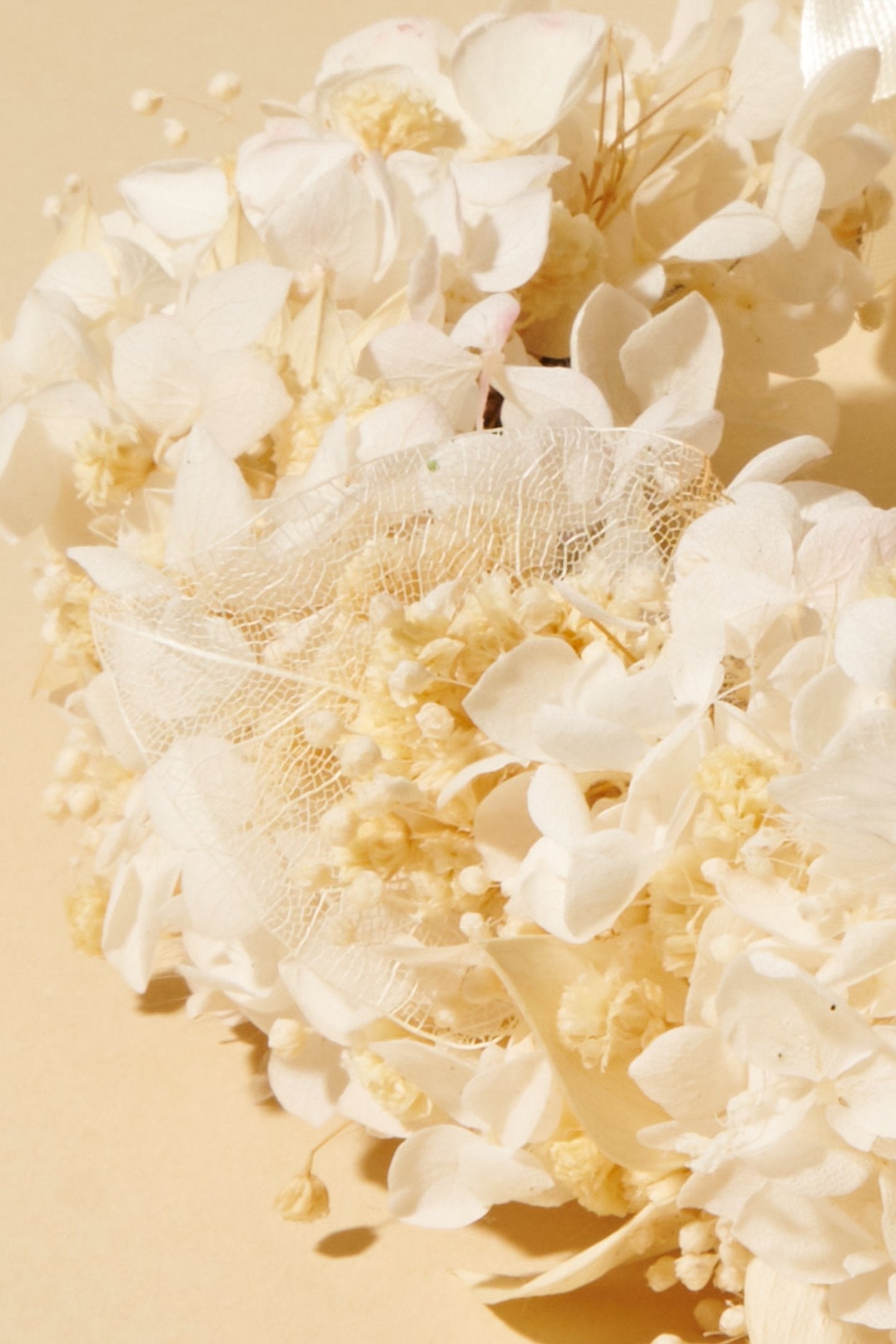 White Crown - Shufizoo