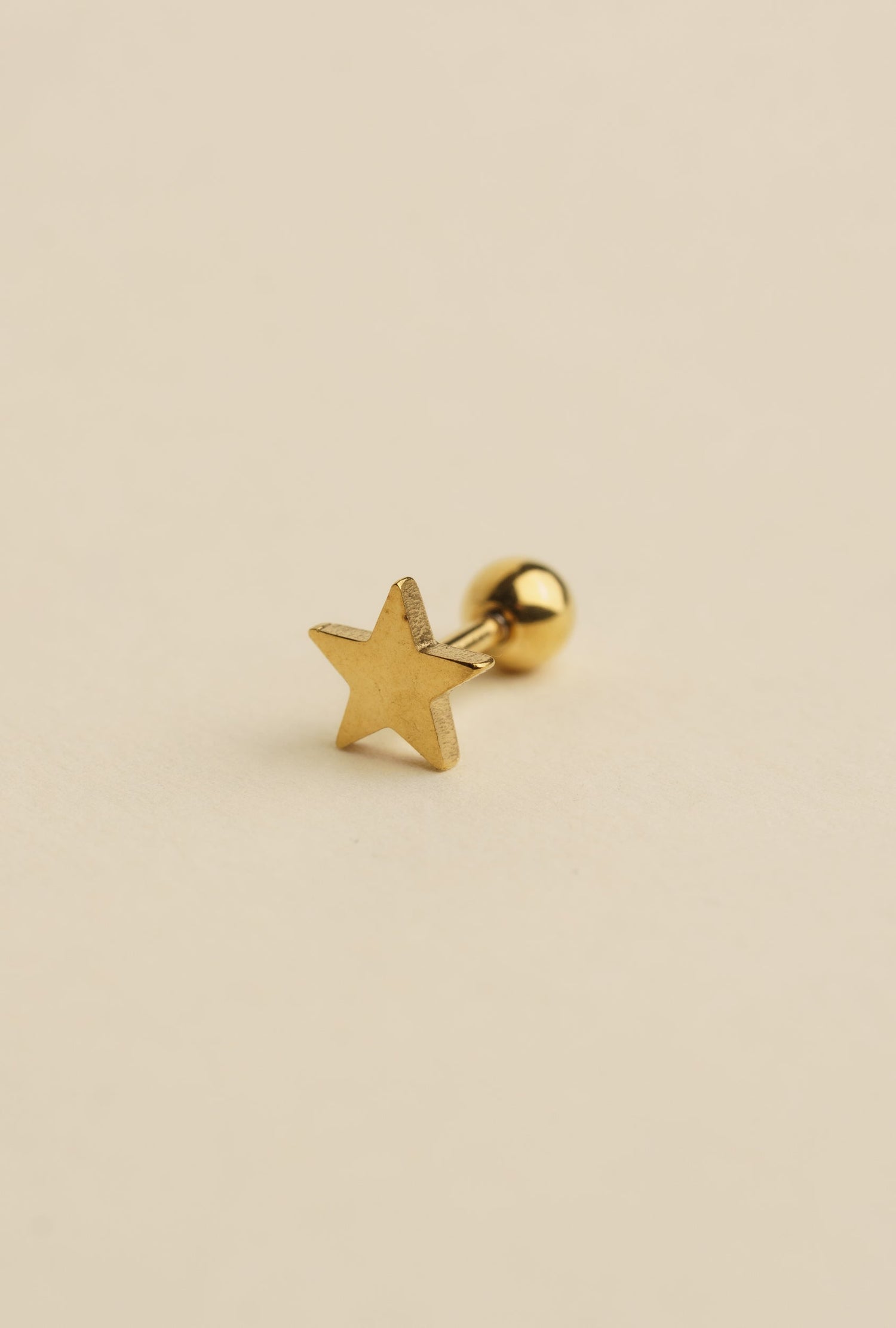 Braid Earrings