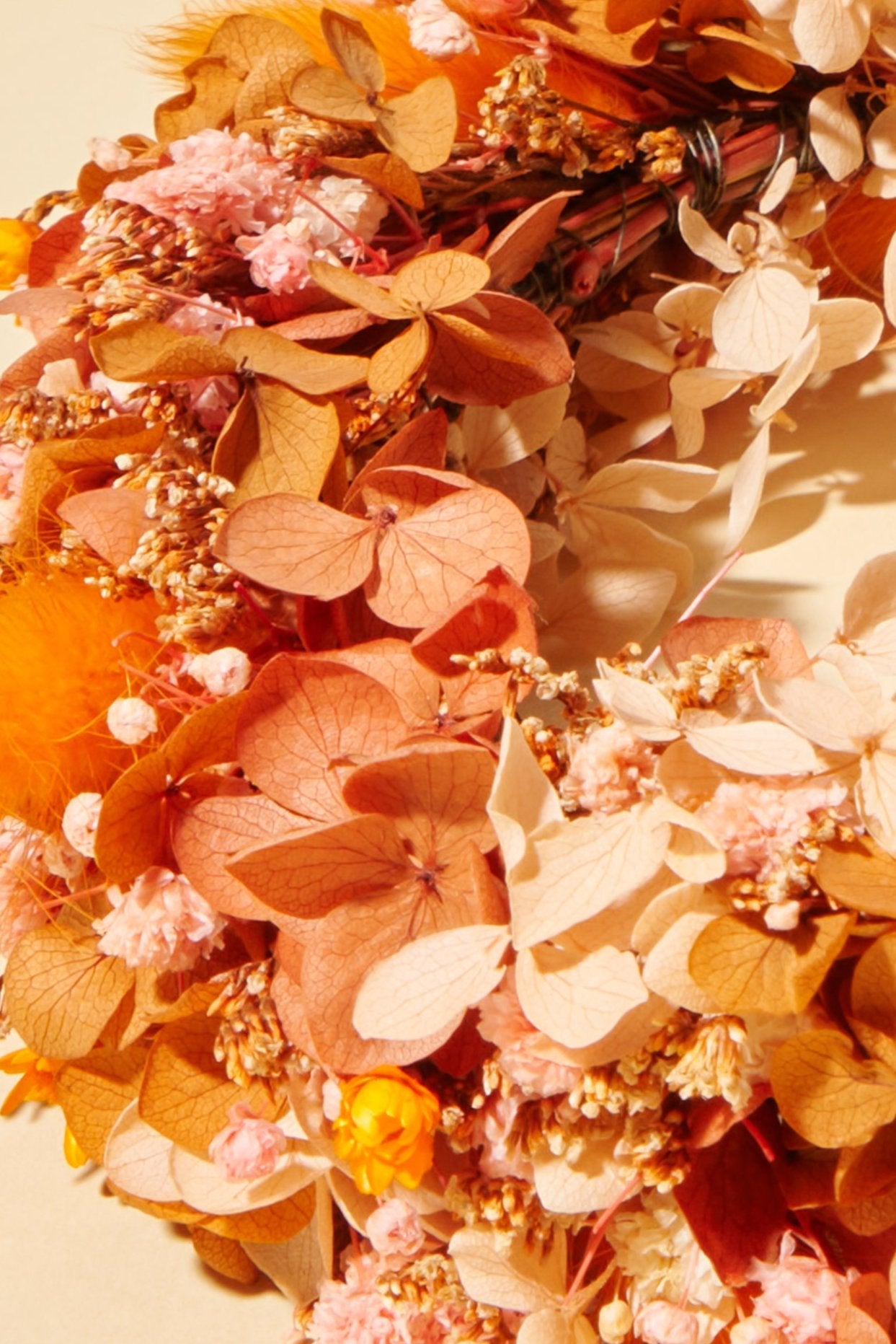 Wicked Crown - Shufizoo